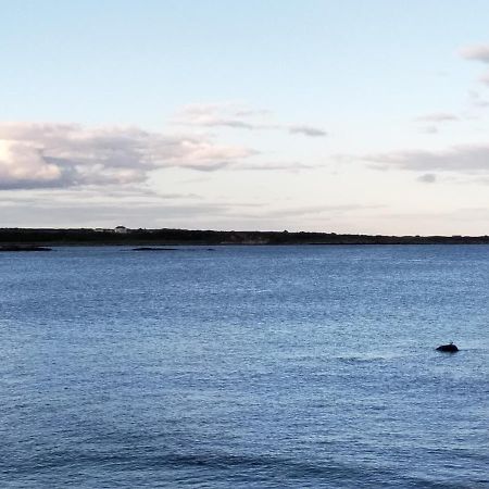 Fishermans Cottage Killough Esterno foto